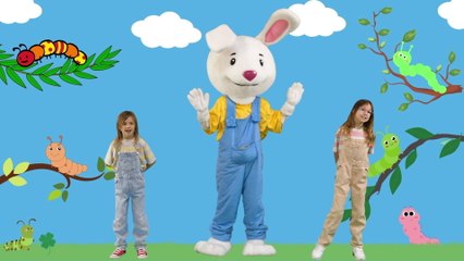 Häsli Ingo - Schmätterling