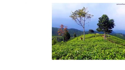 Mengapa lampu lalu lintas warnanya merah,kuning dan hijau_.. ini jawabannya