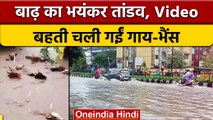 Gujarat Flood: गुजरात में बाढ़ का तांडव, Valsad में पानी में बह गए मवेशी | वनइंडिया हिंदी |*News