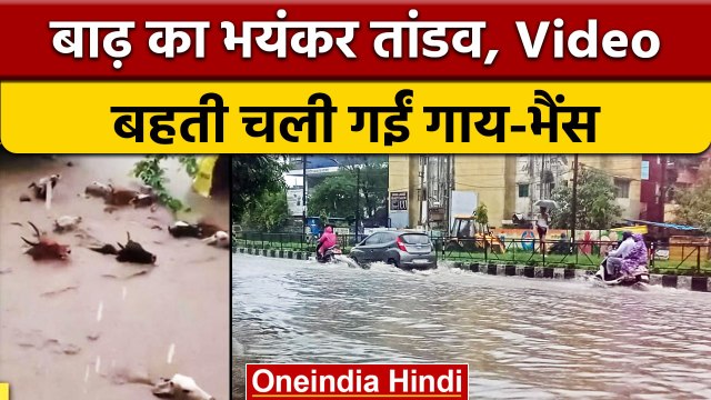 Gujarat Flood: गुजरात में बाढ़ का तांडव, Valsad में पानी में बह गए मवेशी | वनइंडिया हिंदी |*News