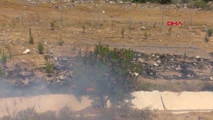 Son dakika haber: ÇEŞME'DE YANGINLAR KISMEN KONTROL ALTINDA