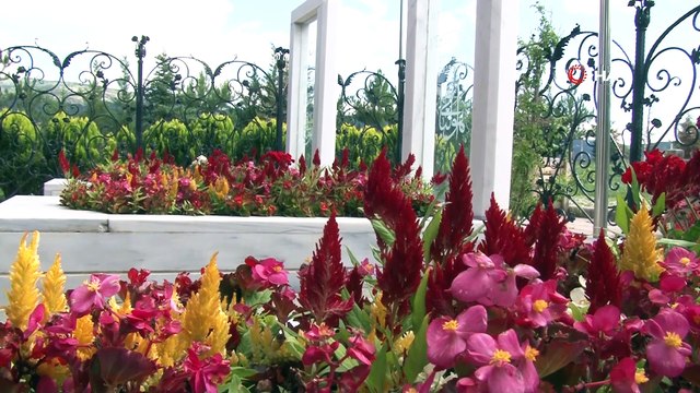 15 Temmuz’da 2 oğlunu ve damadını şehit veren nine konuştu: Acı dinmiyor