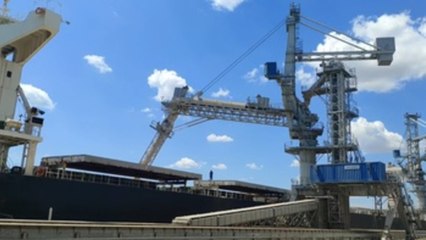 Rumanía trabaja a contrarreloj para dar salida a más cereales de Ucrania