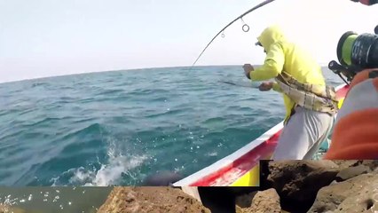 Cara Jitu Mancing Kerapu Di Spot Pinggiran Berbatu _ Tidak Nyangkut Batu Strike Kerapu Lemu-Lemu