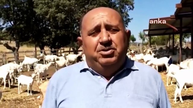 Besicilik yapan vatandaş isyan etti: Benden 8 TL'ye aldığı sütü 55 TL'ye satıyorlar; bizim hakkımızı kim savunacak?