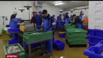 Jonas Vingegaard: de conservar pescado a ser l´íder del Tour de Francia