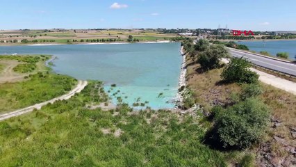 İstanbul'un barajlarında tehlike: Mavi tabaka oluştu