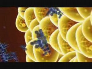 AGEL-MIN: Key Insights and Updates