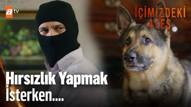 Kızının çalıştığı evde hırsızlık yapınca... - İçimizdeki Ateş 4. Bölüm
