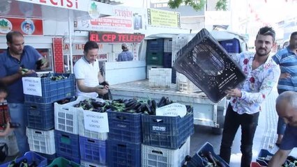 Serada yetiştirdiği 800 kilo patlıcanı vatandaşa ücretsiz dağıttı