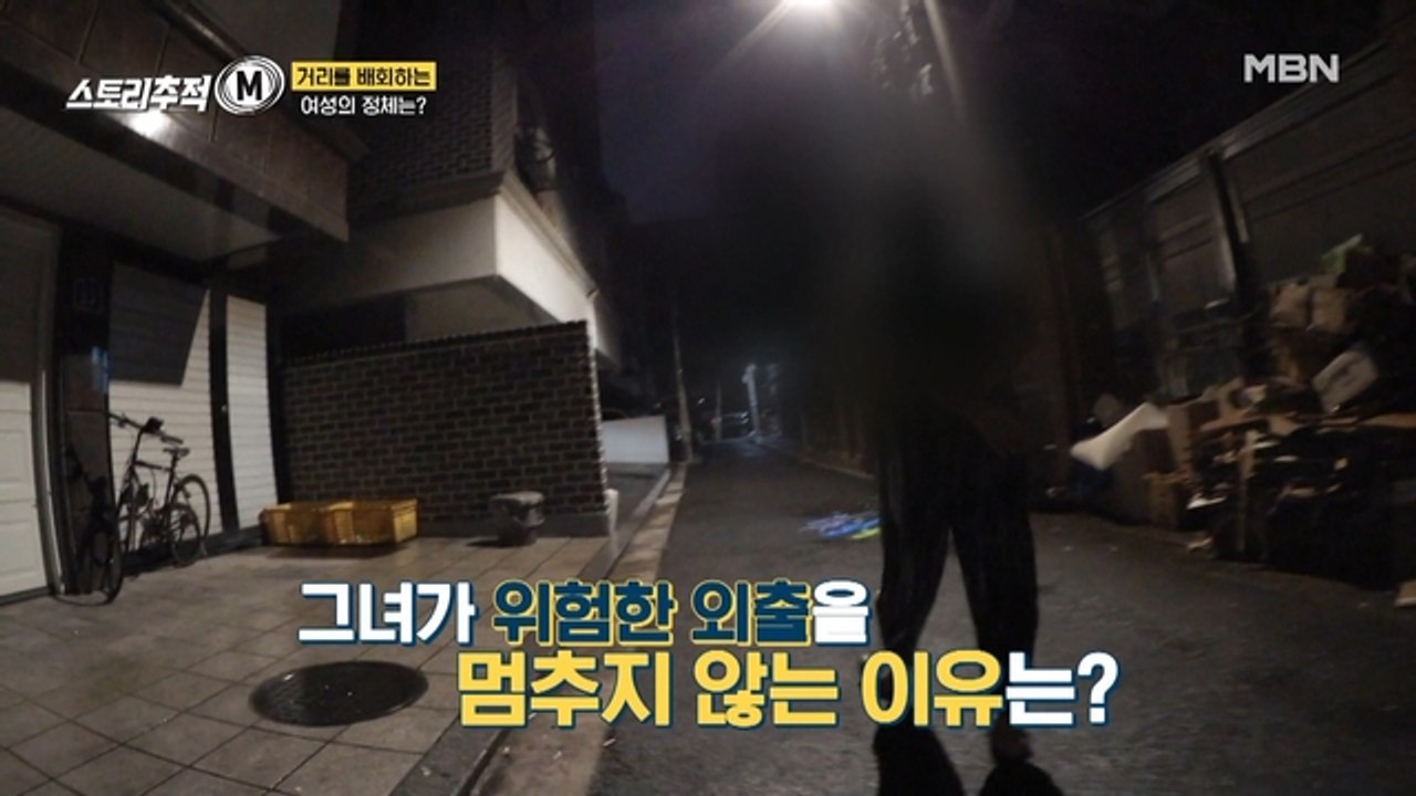 그녀의 위험한 외출