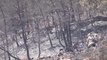 Son dakika haberi... Datça'daki orman yangınında mahsur kalan iki kaplumbağayı jandarma ekipleri kurtardı