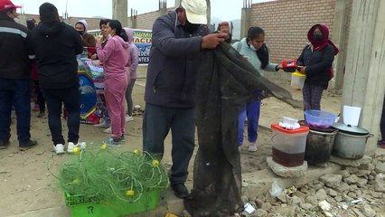 Dejar la pesca para sobrevivir en Perú, seis meses después del derrame