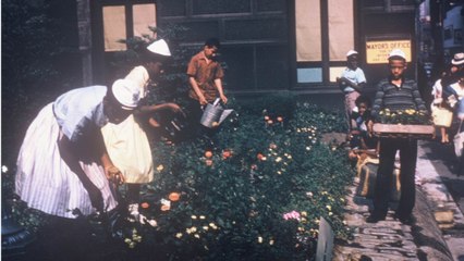 The Important Legacy of Black Garden Clubs in America