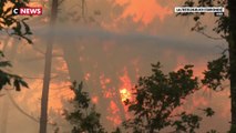 Incendies en Gironde : près de 4.000 hectares de forêt partis en fumée