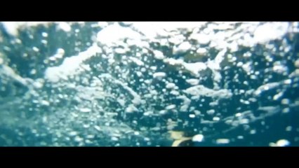 Get Away If You Can - Official Trailer