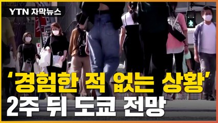 [자막뉴스] "새로운 유행" 진단...'BA.5' 퍼진 일본 상황 / YTN