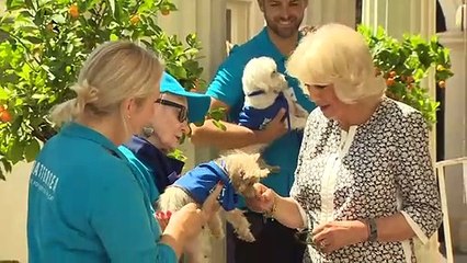 Camilla Barker-Bowles: Duchess celebrates Battersea Dogs Home