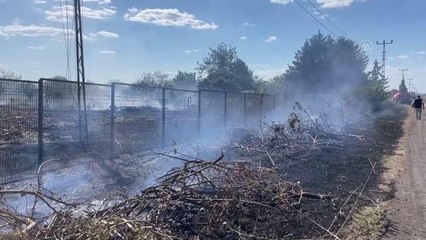 Edirne'de çıkan yangında bir sera kullanılamaz hale geldi