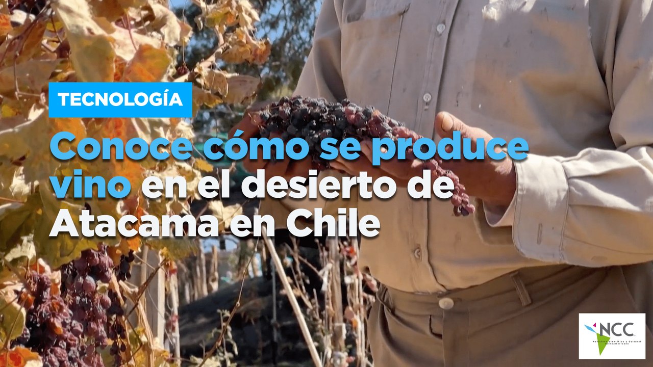 Conoce cómo se produce vino en el desierto de Atacama en Chile