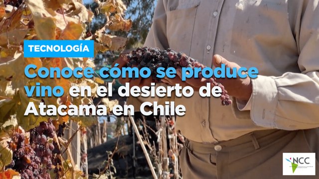 Conoce cómo se produce vino en el desierto de Atacama en Chile