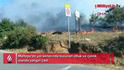 Maltepe'de otluk alanda korkutan yangın