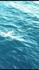Relaxing Music for Stress Relief.  Musik Santai untuk  Menghilangkan Stres