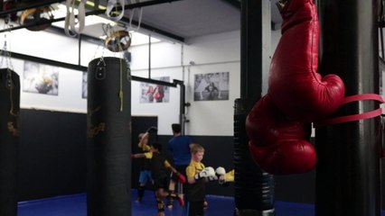 Pexels Videos 1543760.mp4