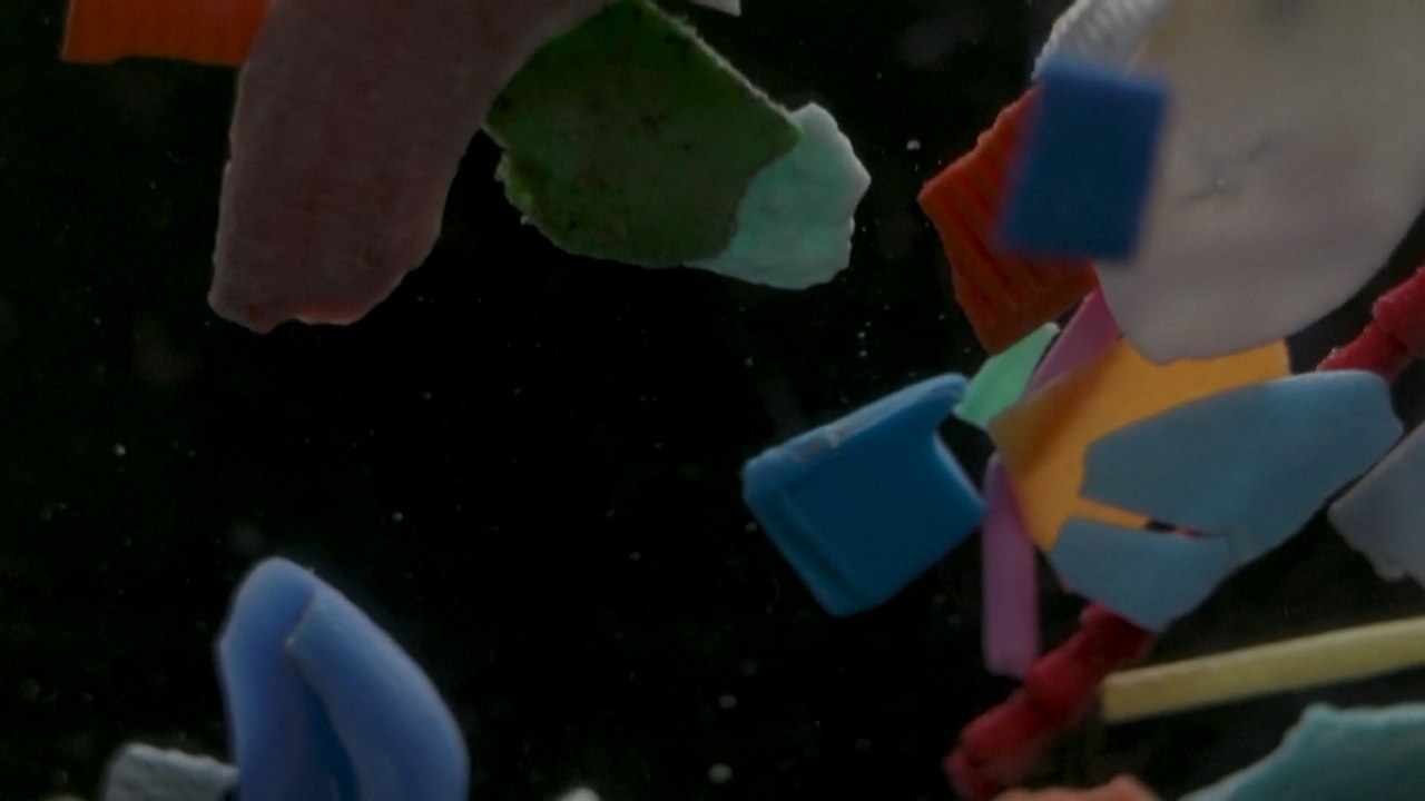 Preocupante aumento en el consumo de micro plástico presente en moluscos, Ostras y Mejillones