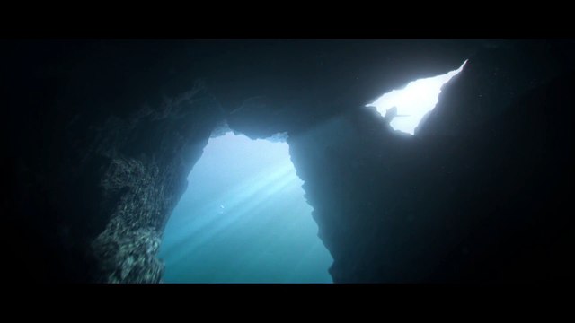 Thom Yorke, líder de Radiohead, presta su música en un vídeo en defensa de los tiburones