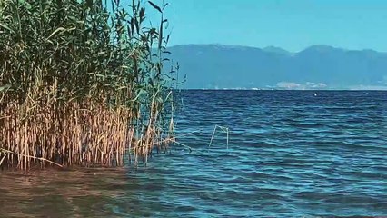 La Isla Bonita - Madonna (Violin Cover by Petar Markoski)