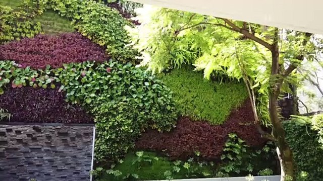Estas son las ventajas de tener un jardín vertical