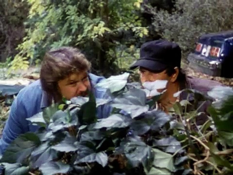 Ein Duke kommt selten allein Staffel 7 Folge 15