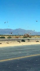 Dust Devil Scrambles Tumbleweeds in Arizona