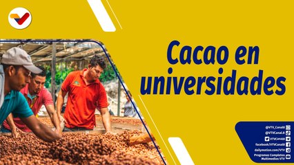 Punto de Encuentro | Tecnología del cacao desde las universidades