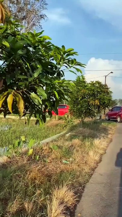 lagi embuh