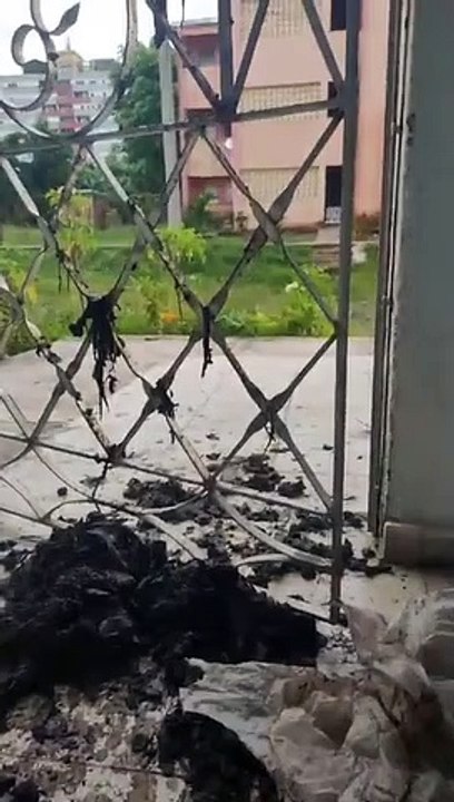 Lanzan saco de excrementos en la casa en Cuba de Roxana García y Jonatan López
