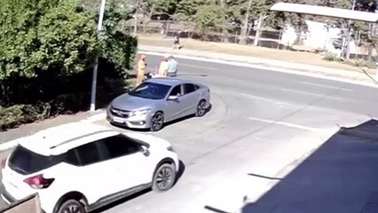 Gari é agredido enquanto trabalhava na Asa Norte; veja o vídeo