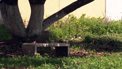 En el olvido parque del fraccionamiento La Misión | CPS Noticias Puerto Vallarta