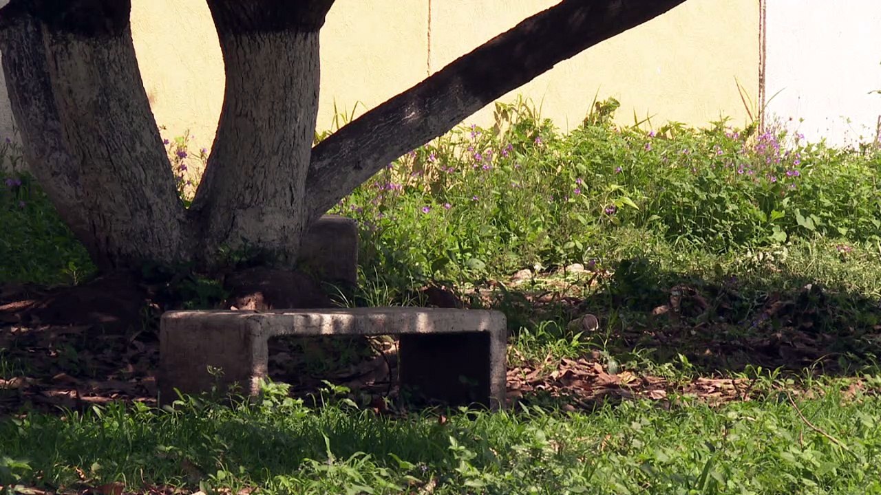 En el olvido parque del fraccionamiento La Misión | CPS Noticias Puerto Vallarta