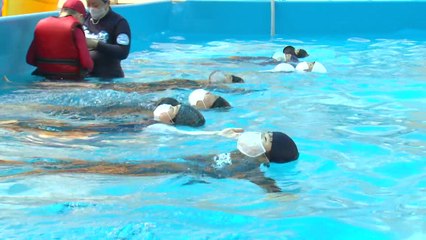 다시 살아난 '생존수영'..."어? 몸이 뜨네요?" / YTN