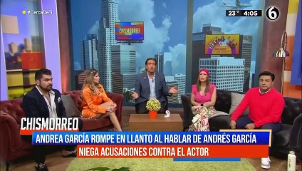 Hija de Andrés García niega acusaciones contra el actor