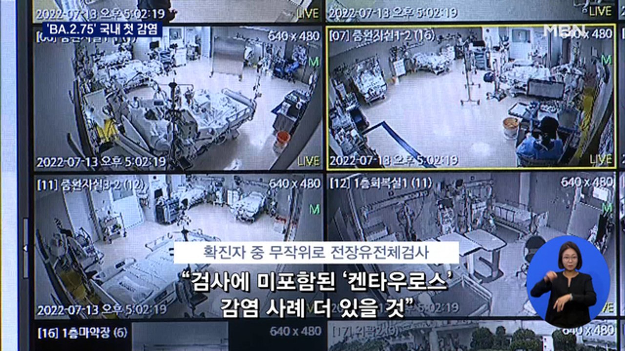 가장 센 'BA.2.75' 변이 국내 첫 감염…"이미 지역사회 전파됐을 것"