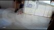 Vídeo: ladrão invade residência, furta pertences pessoais e sai pela porta da frente no Bairro Coqueiral