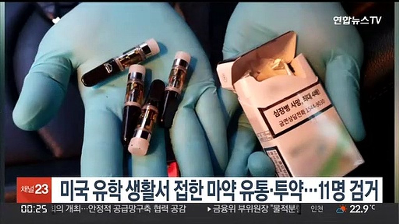 미국 유학 생활서 접한 마약 유통·투약…11명 검거