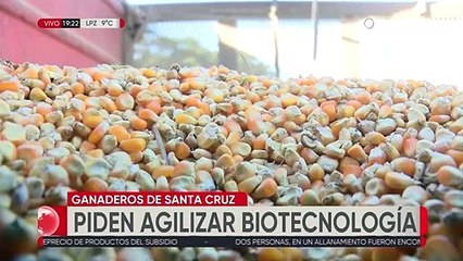 Ganaderos de Santa Cruz piden al Gobierno agilizar el uso de biotecnología