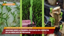 Con profesionales misioneros, la provincia desarrolló su propio biofertilizante