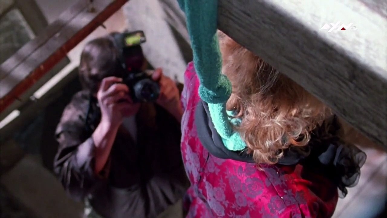 Kommissar Rex Staffel 1 Folge 8 HD Deutsch