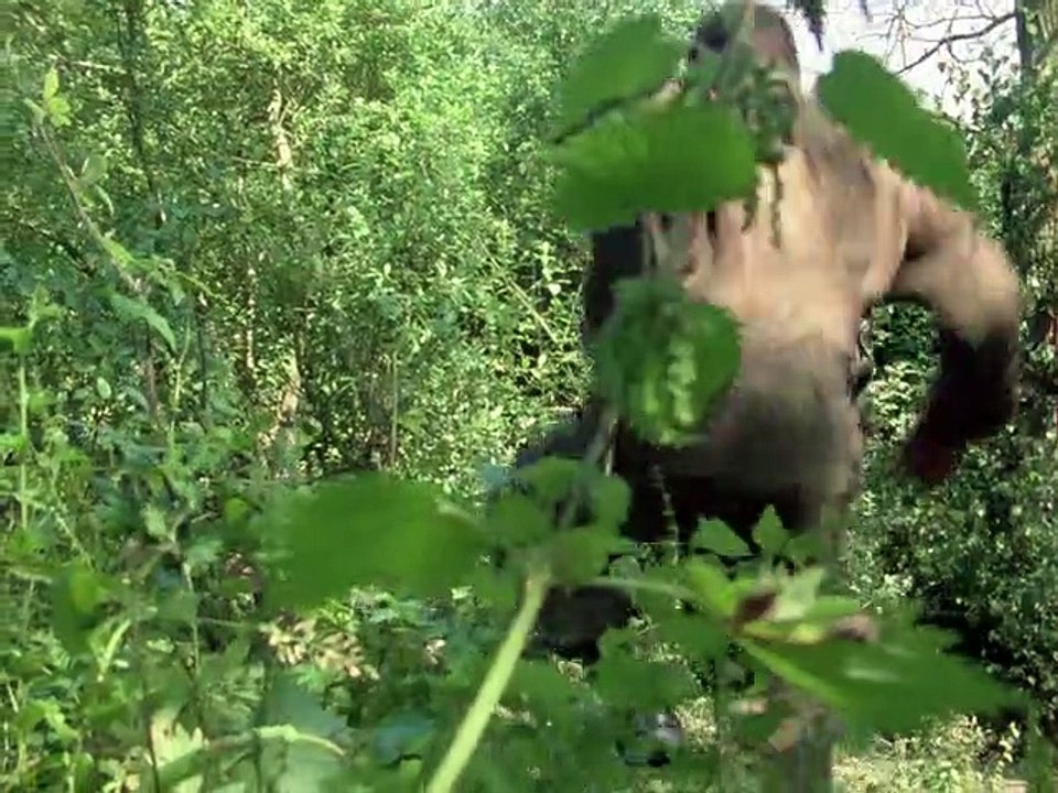 Die Profis Staffel 1 Folge 6 HD Deutsch