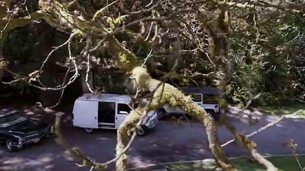 Primeval; New World Staffel 1 Folge 7 HD Deutsch